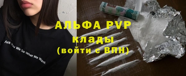 сатива Елизово
