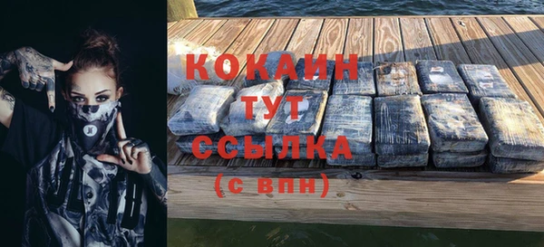 сатива Елизово
