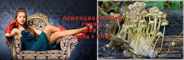 меф Елабуга