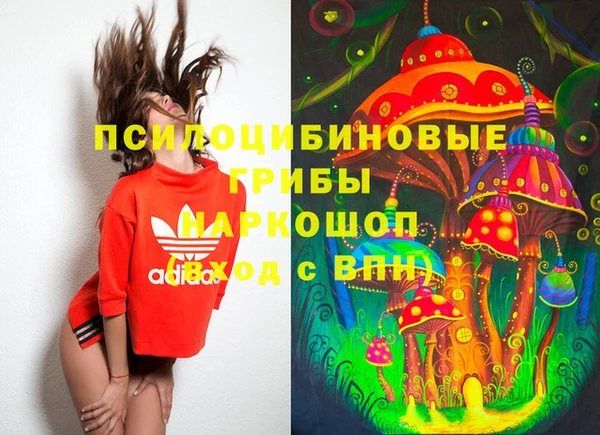 дурь Заводоуковск