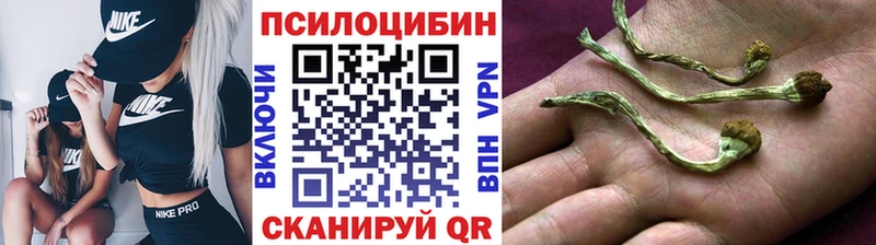 Галлюциногенные грибы Psilocybe  Красноармейск 