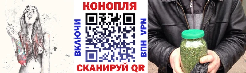 где продают   Красноармейск  Конопля Amnesia 